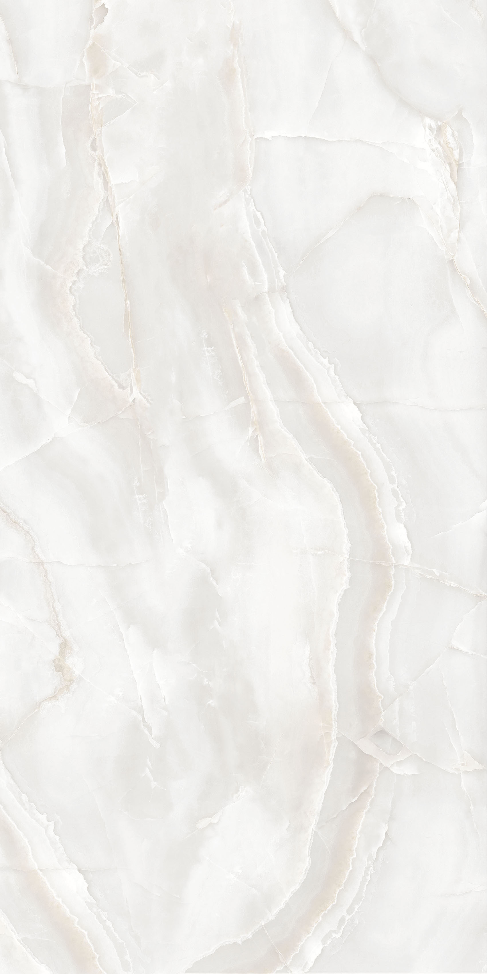 Dgvt Glamour Gris Polished