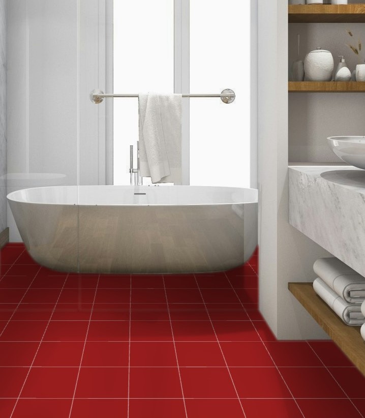 Nabina Ceramic | Red Matte Pro Technic Wall and Floor Tiles Matt