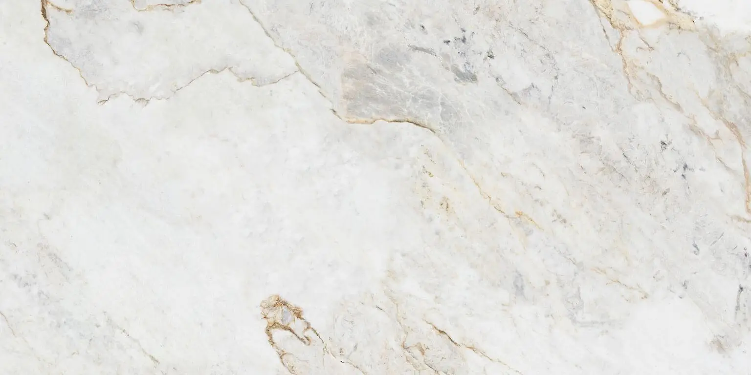 Marmore Parana White Wall and Floor Tiles Matt Porcelain Marble Effect Roca 60X120CM image 17118