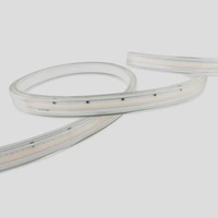 LED Flexible Strip Linear Light HV -12W/M