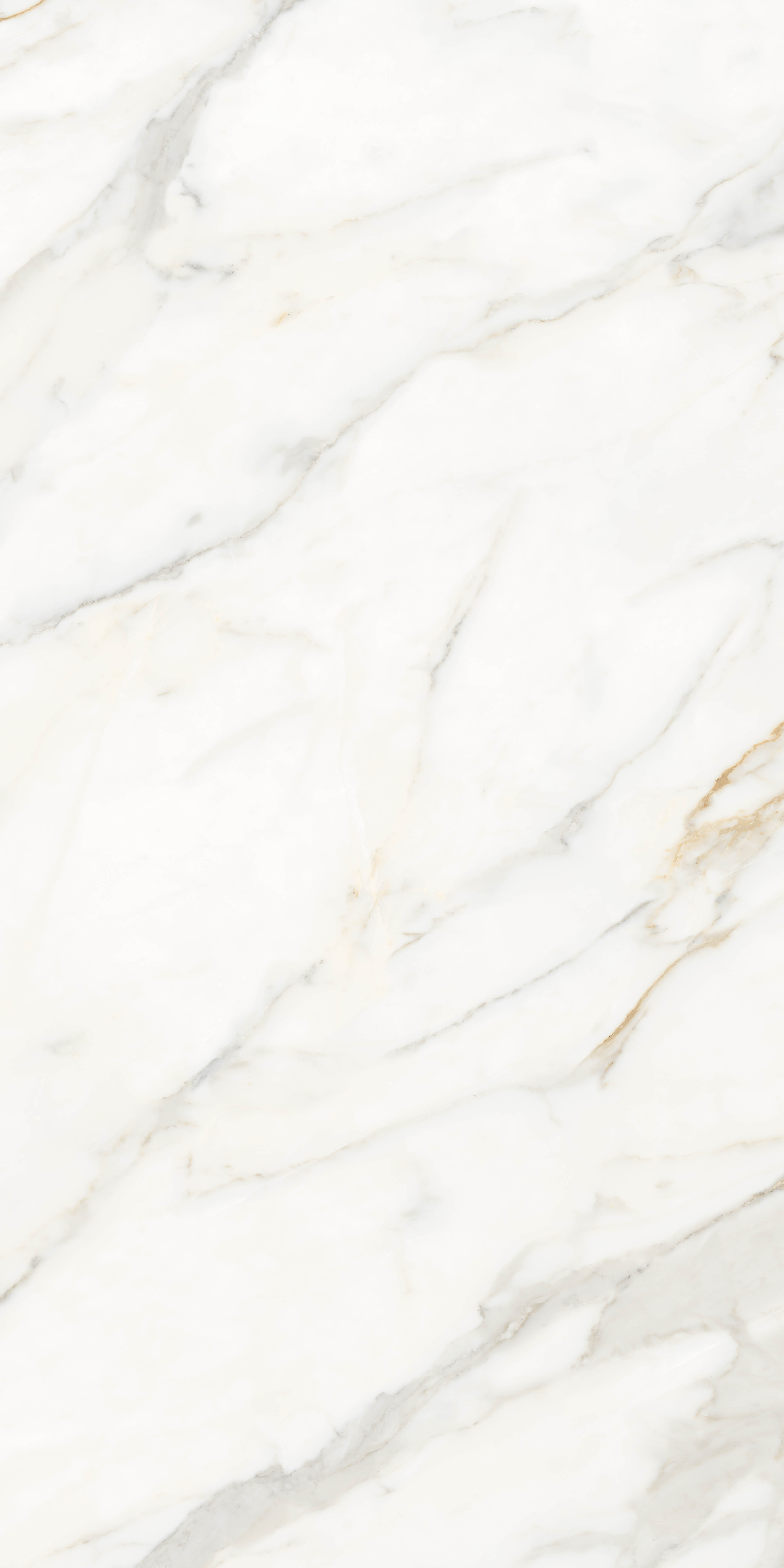 Marmi Bianco Porcelain Tile image 13218