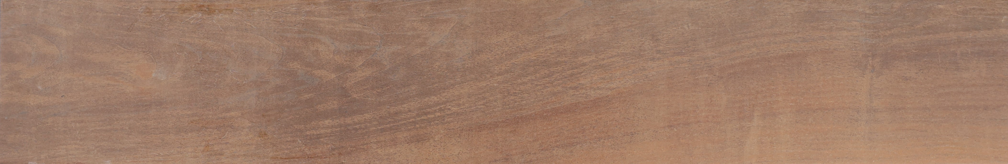 Carbonara Noce image 17072