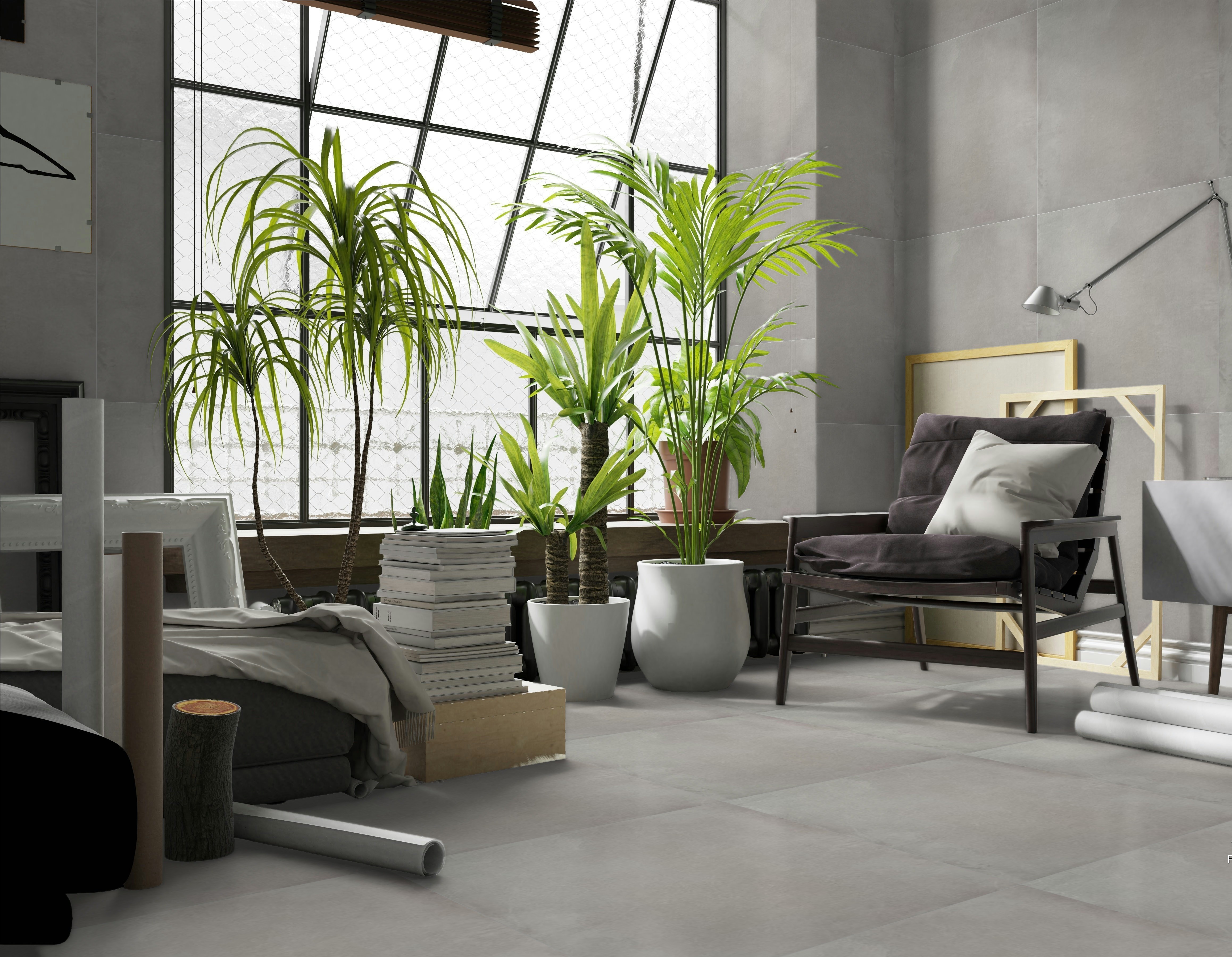 Derby Gris image 29007