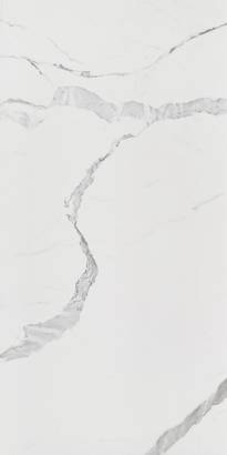 Tech-Marble White Venato image 16972