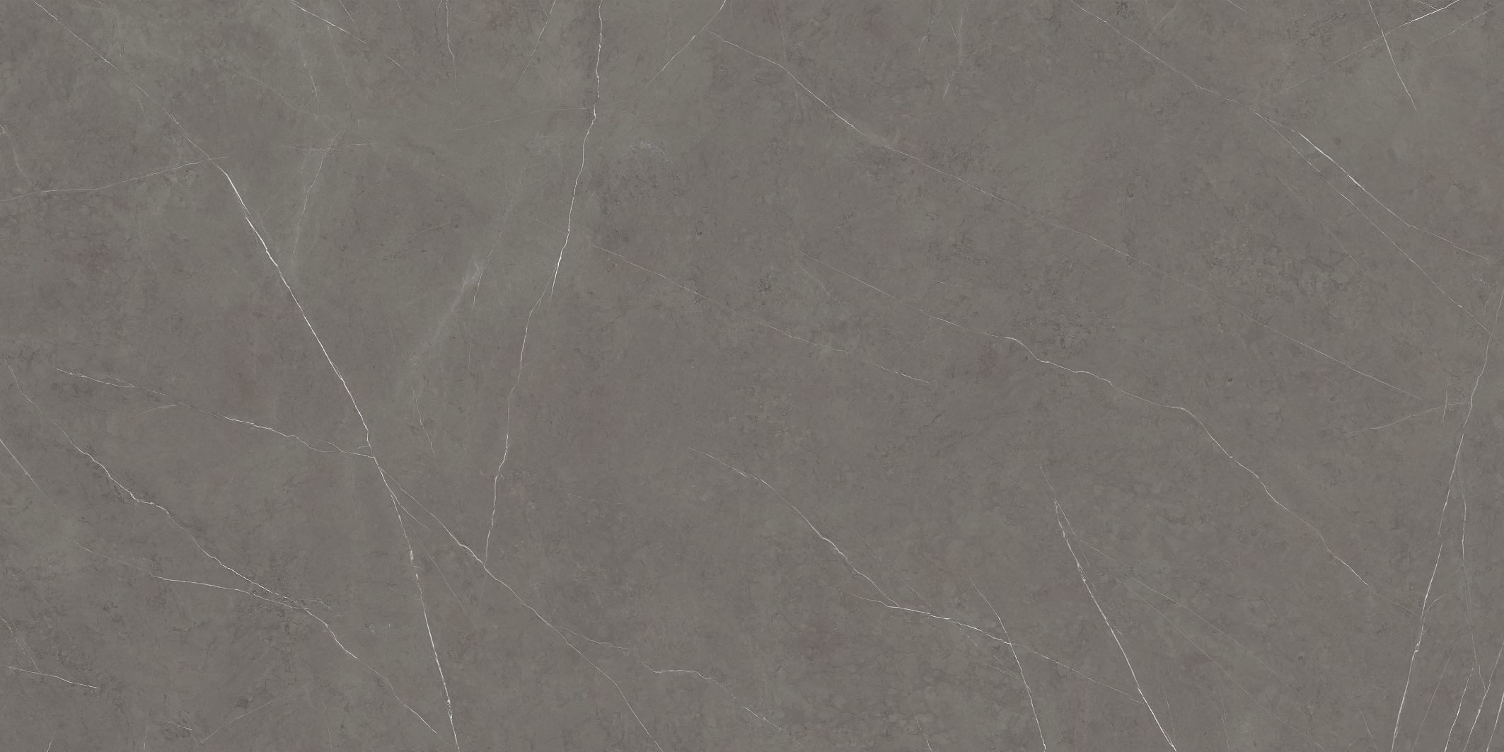 Liem Grey Pol.(S/R)Mll image 17317