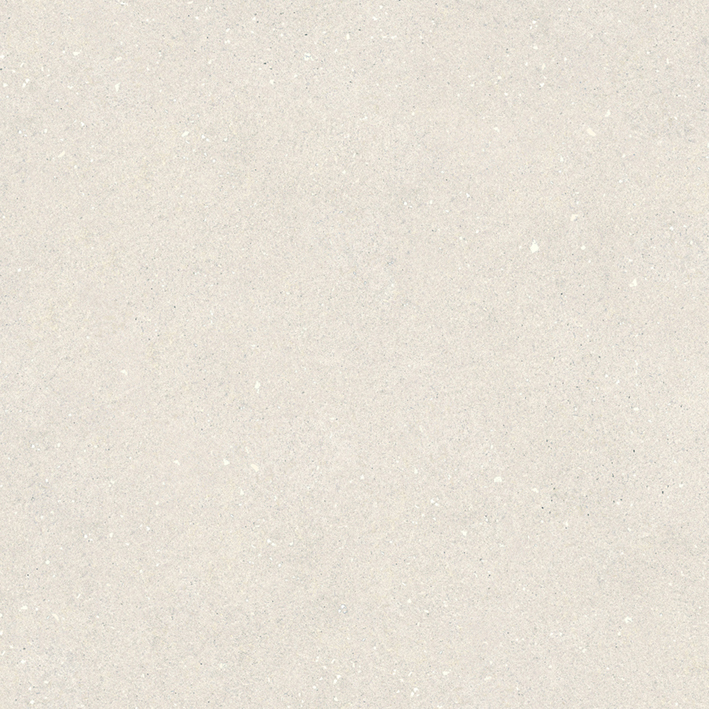 Earth Bone L C-2 image 11421