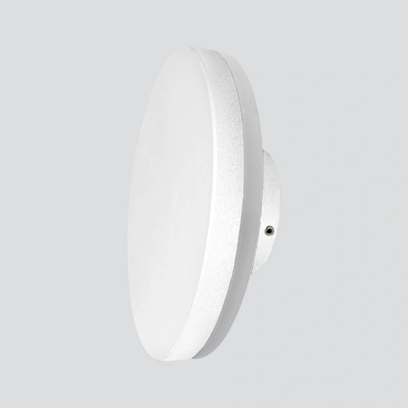 Wall-Mounted LED Luminaires 10W