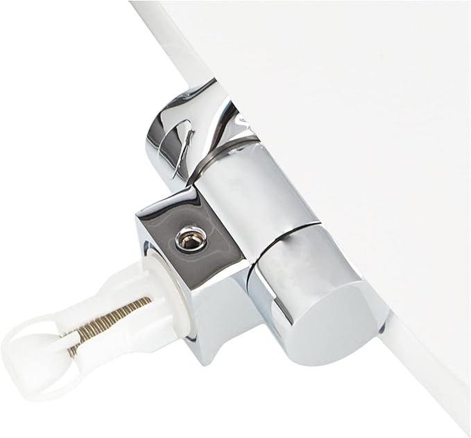 Giralda Replacement WC Toilet Seat with Soft Closing Hinges image 17348