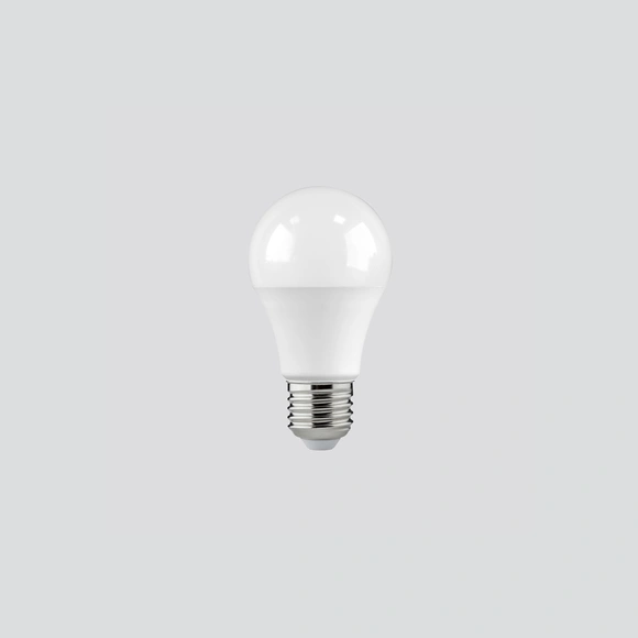 LED Lamp E27 17W