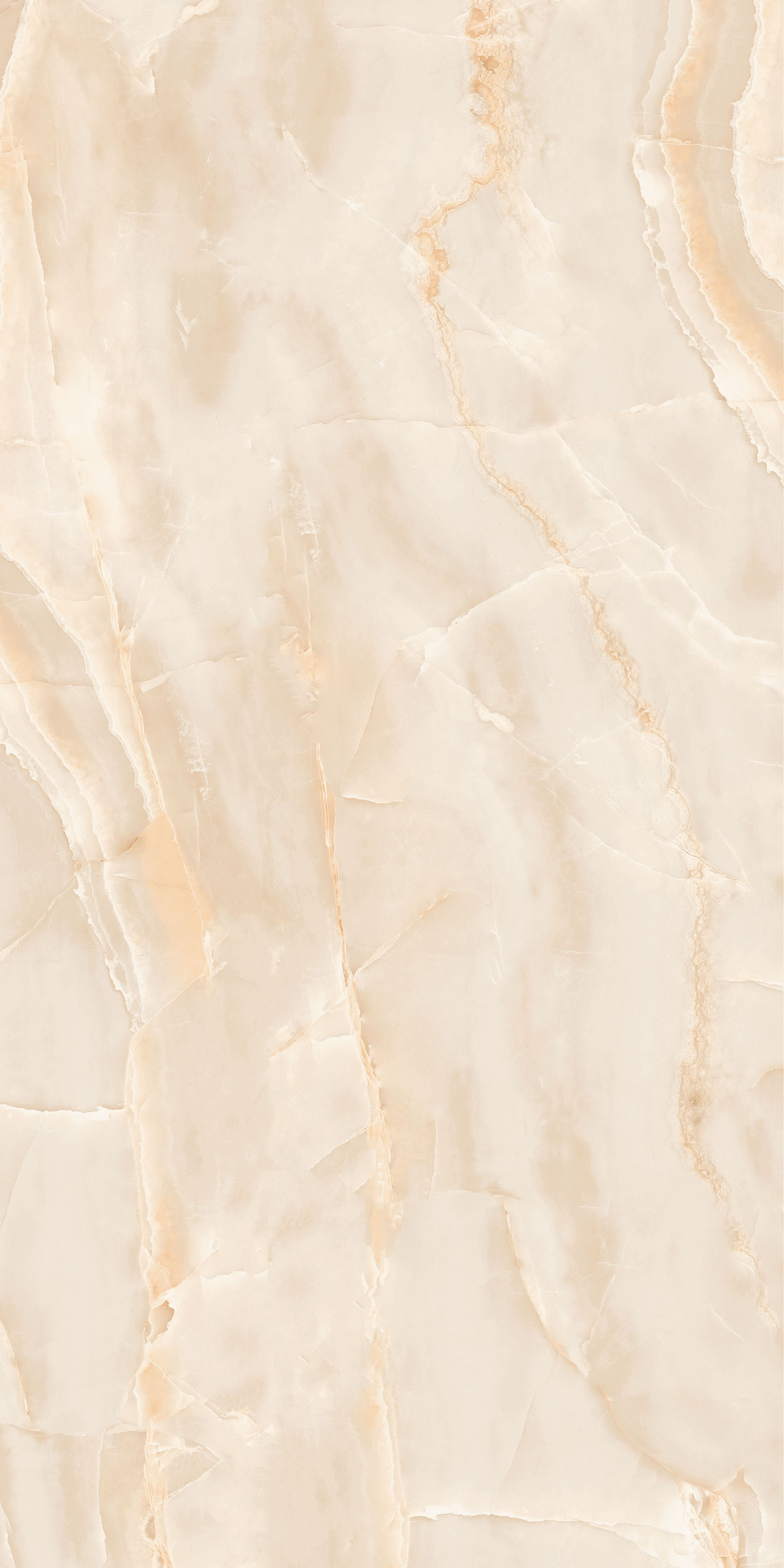 Dgvt Glamour Crema Polished