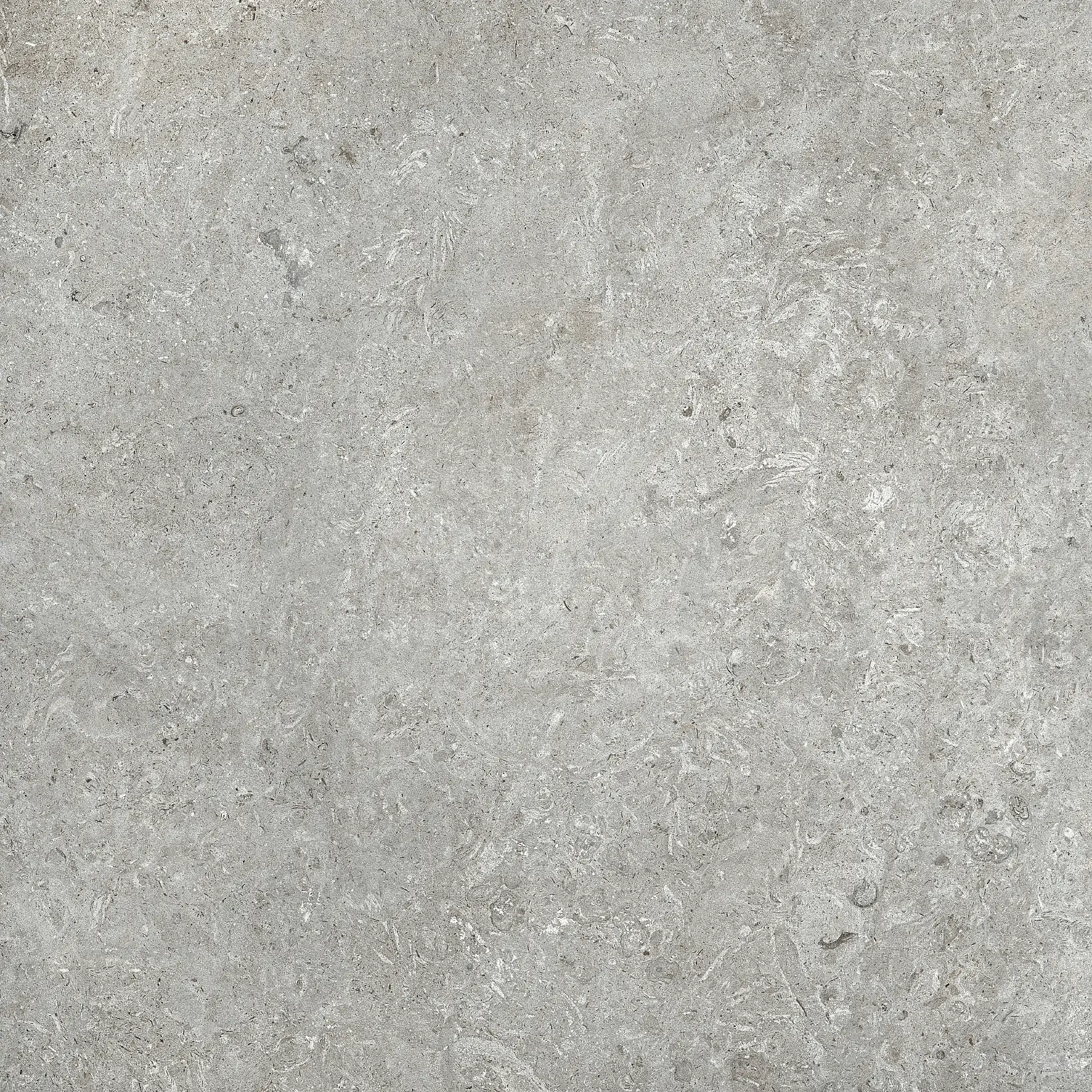 Limestone Gris image 12132