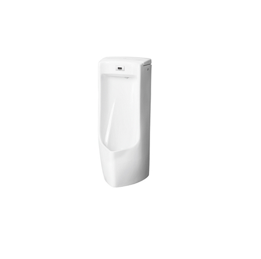 Floor Mounted Urinal image 23171